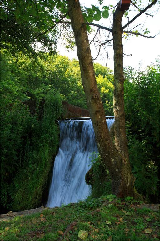 Fruktarium Vendeghaz Hotel Trizs Buitenkant foto